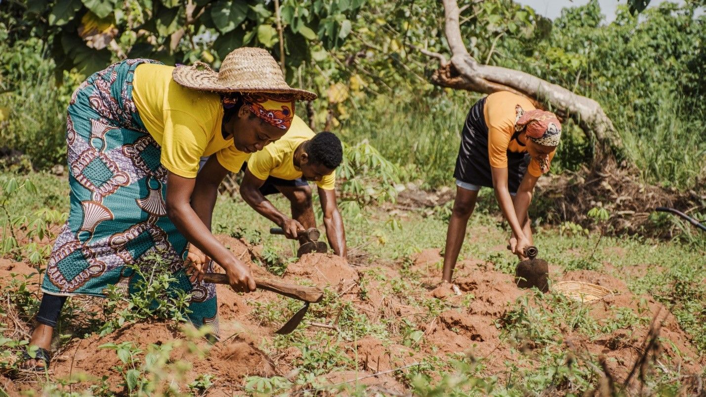 Farmers in Africa working the land with hoes