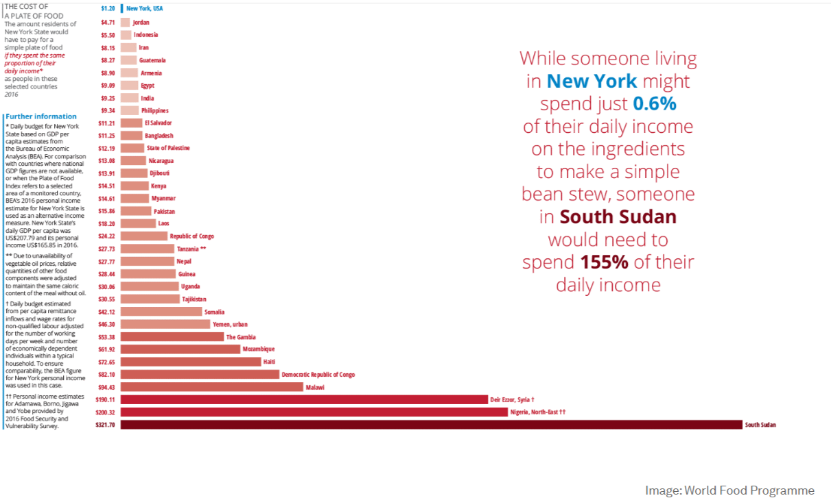 Chart comparing the cost of a plate of food: 155% of daily income in South Sudan versus 0.6% in New York
